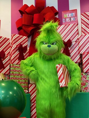 Grinch Grinch