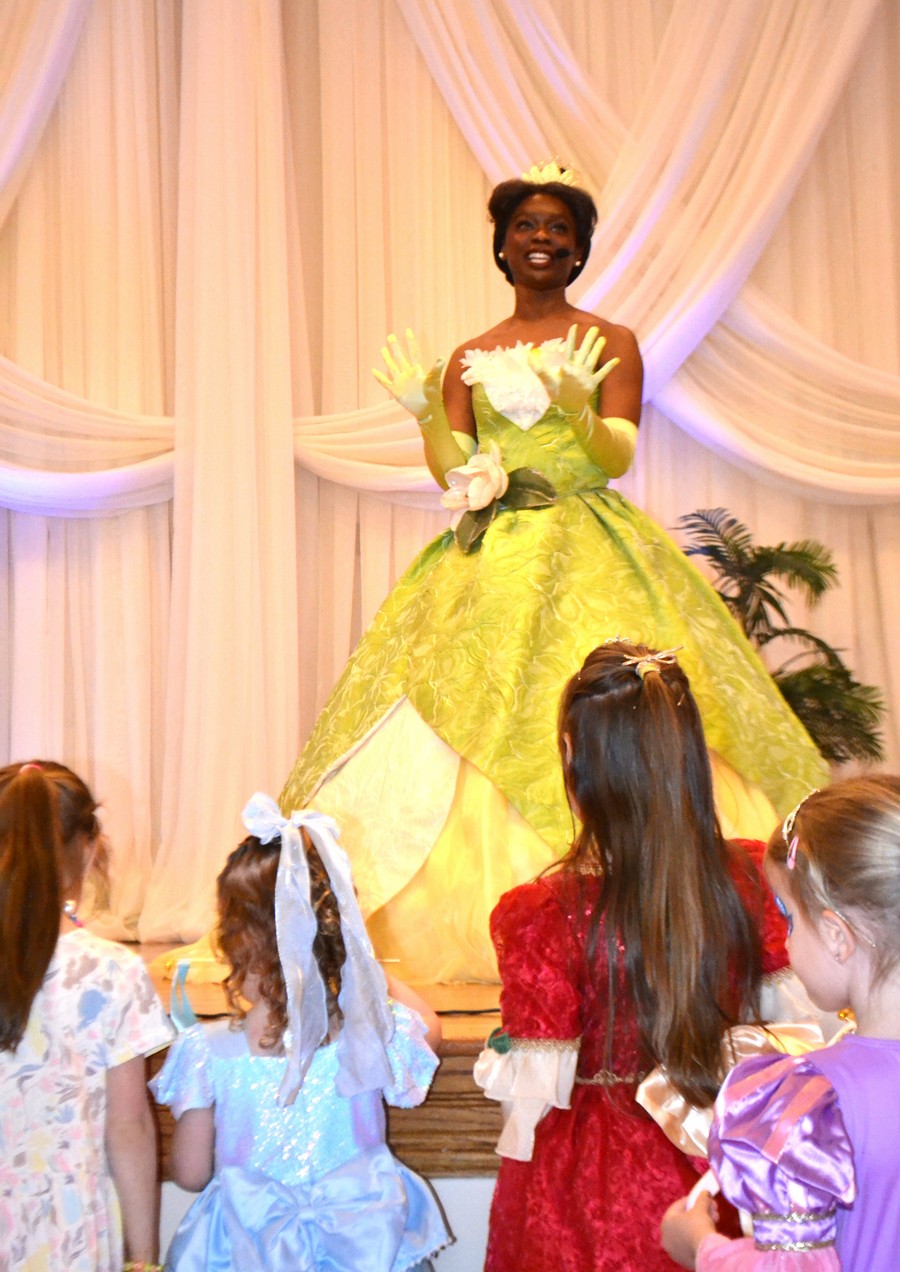 Princess Fairytale Parties